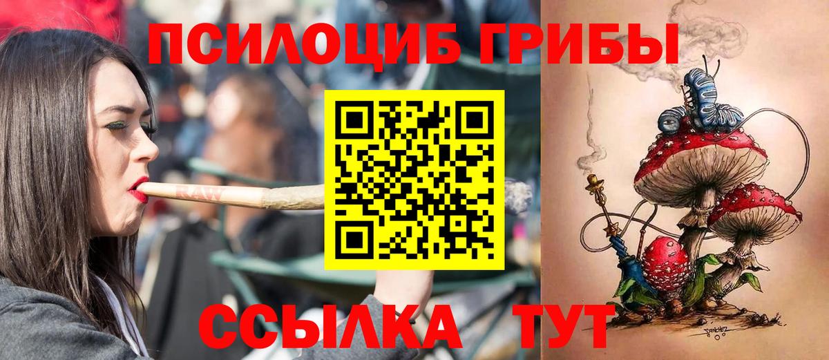 Псилоцибиновые грибы GOLDEN TEACHER Лянтор