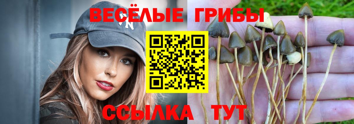 Лянтор  Галлюциногенные грибы Psilocybe  Вход с VPN 